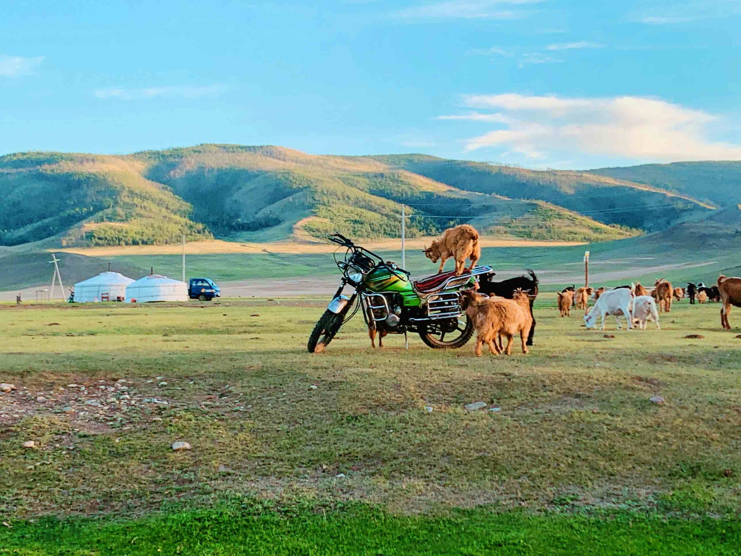 Nomadic Lifestyle Tour In Amarbayasgalant Monastery