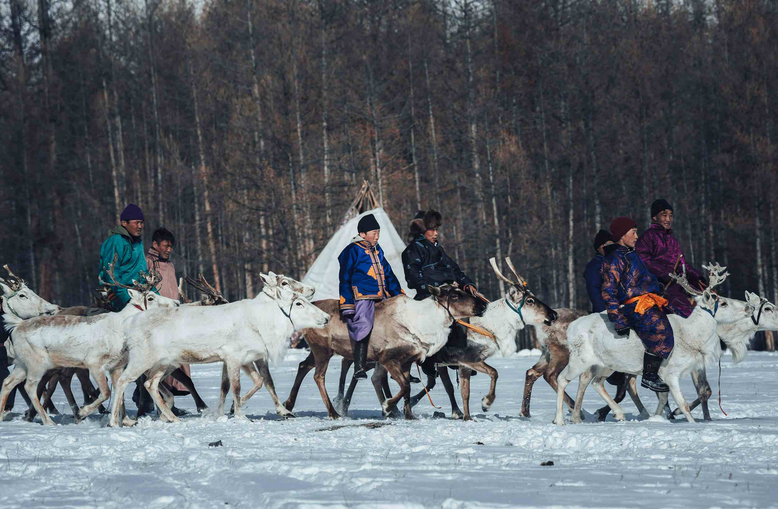 Khuvsgul Lake Ice Festival & Tsaatan Tour