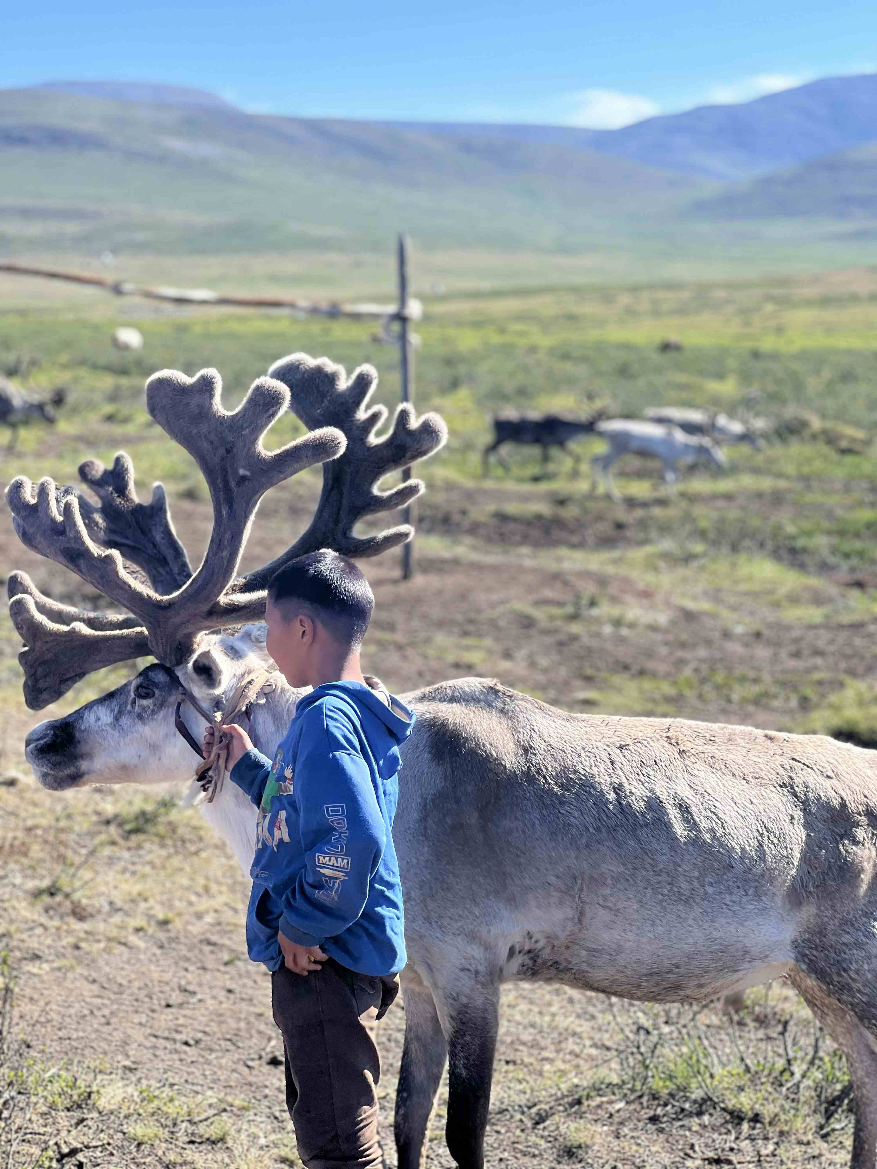 Tsaatan Reindeer and Khuvsgul Lake Tour