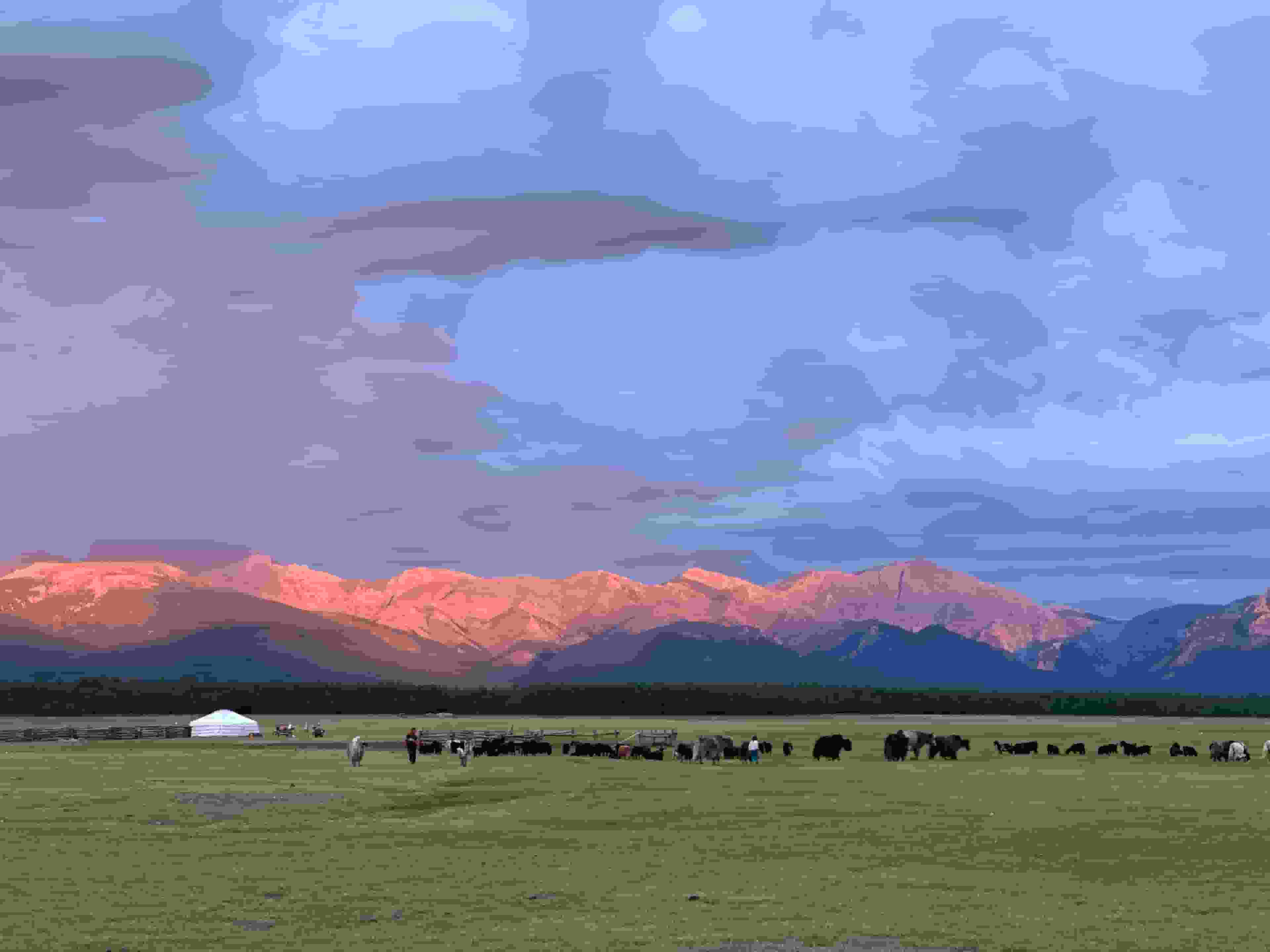 Tsaatan Reindeer and Khuvsgul Lake Tour