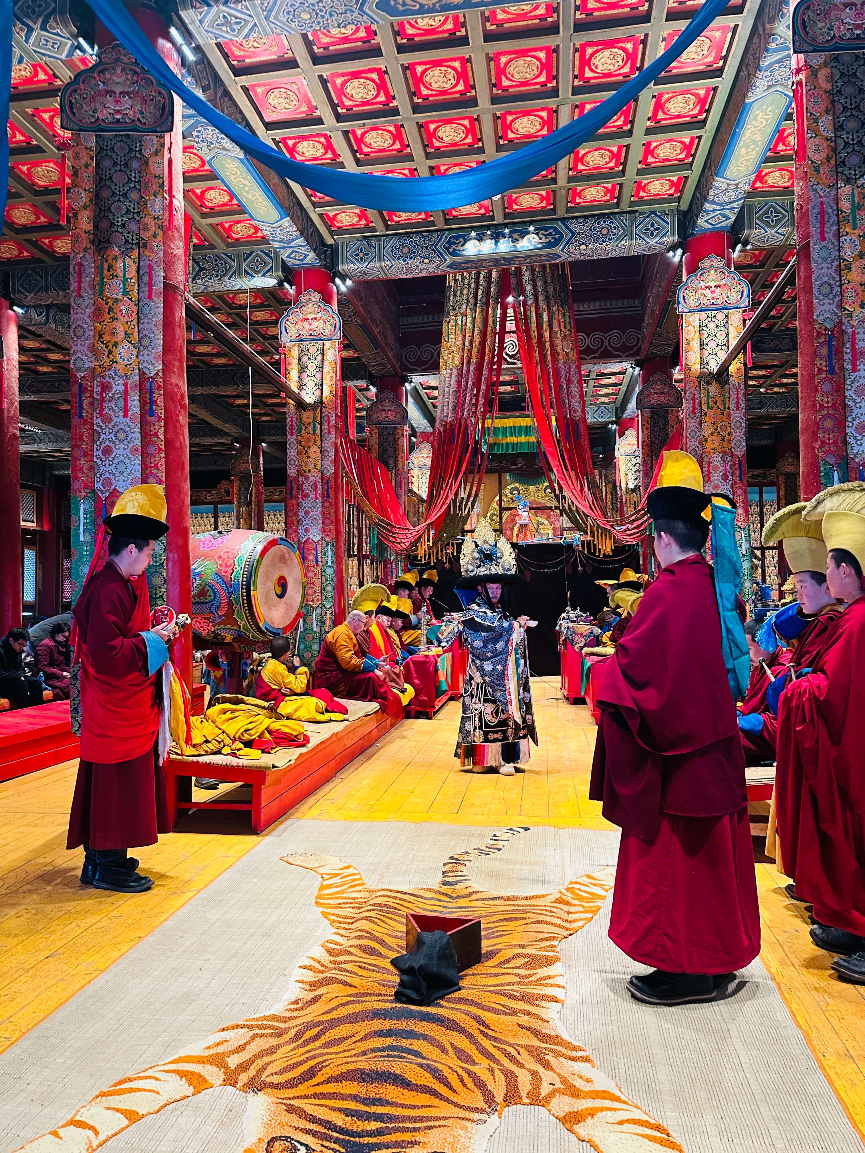 tourImages/v0vnbvx.jpeg5