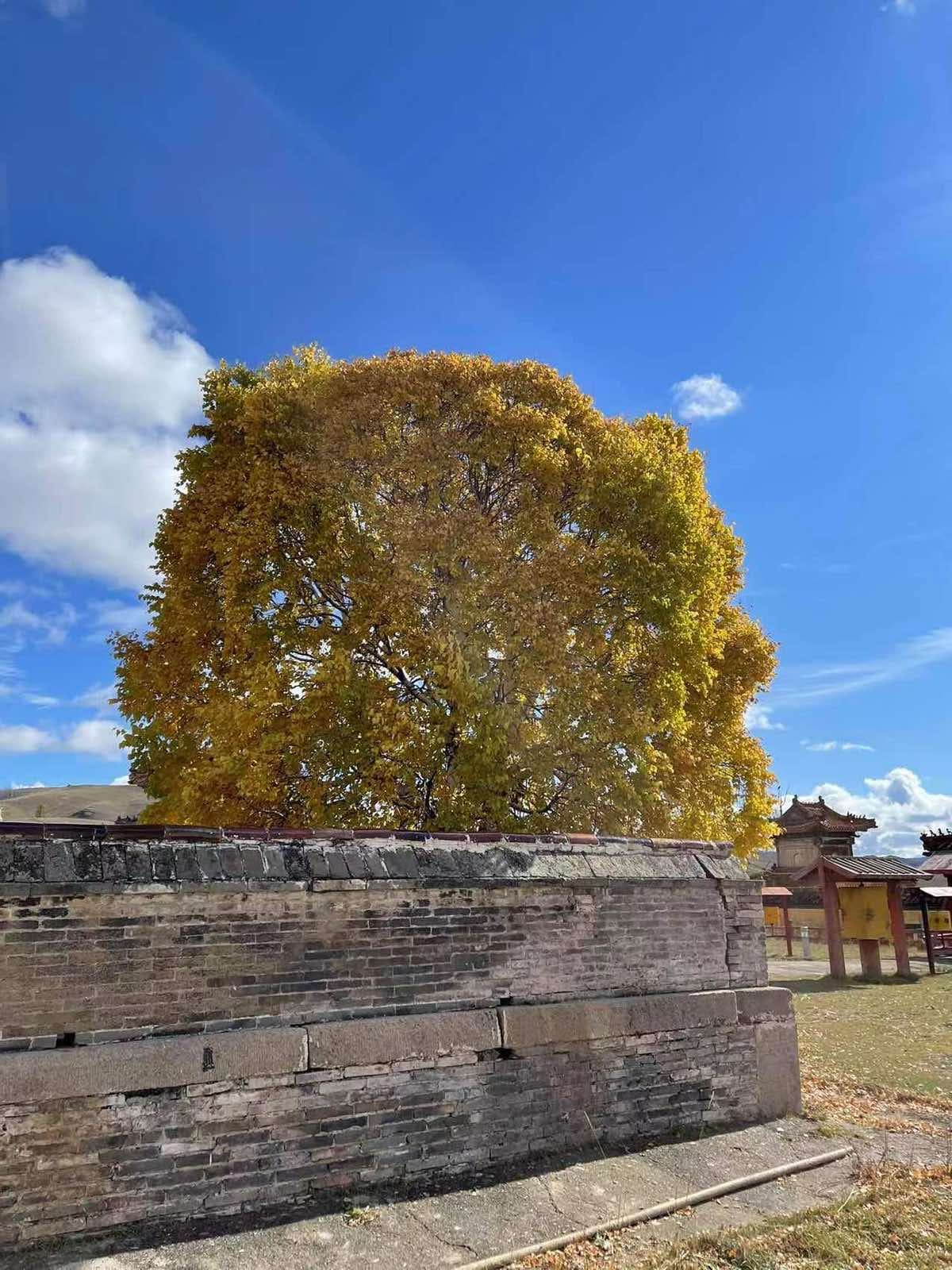 tourImages/wpqlmm7.jpeg8